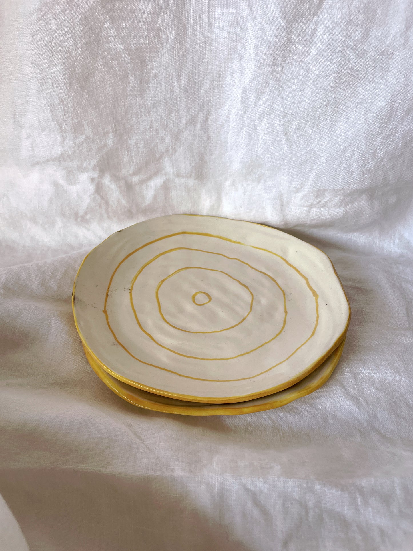 Plate Yellow Rings