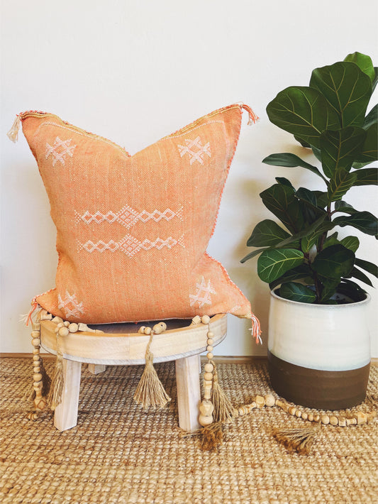 Earthy Orange #2 Cactus Silk Cushion