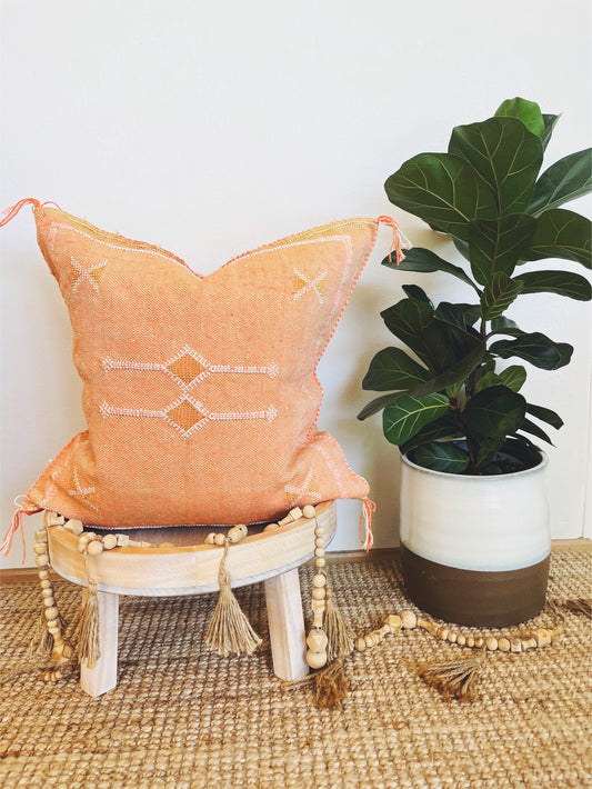 Earthy Orange #1 Cactus Silk Cushion